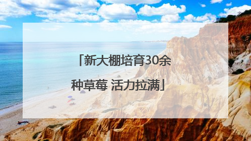 新大棚培育30余种草莓 活力拉满