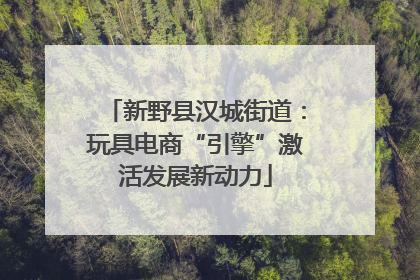 新野县汉城街道：玩具电商“引擎”激活发展新动力
