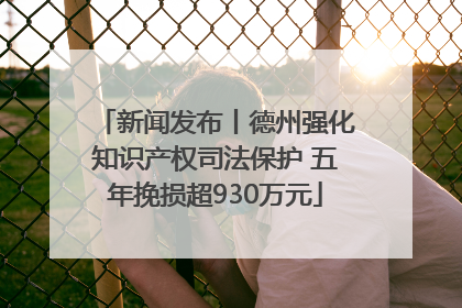 新闻发布丨德州强化知识产权司法保护 五年挽损超930万元