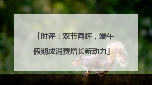 时评：双节同辉，端午假期成消费增长新动力