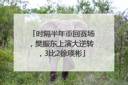 时隔半年重回赛场，樊振东上演大逆转，3比2徐瑛彬