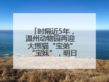 时隔近5年，温州动物园再迎大熊猫“宝弟”“宝妹”，明日正式开馆！
