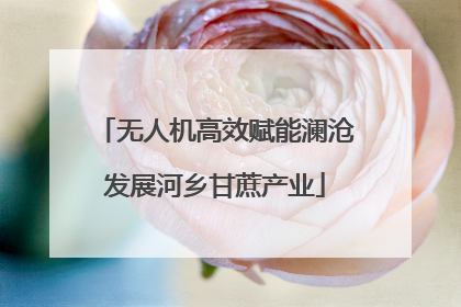 无人机高效赋能澜沧发展河乡甘蔗产业