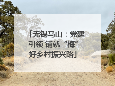 无锡马山：党建引领 铺就“梅”好乡村振兴路