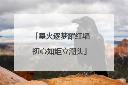星火逐梦耀红墙 初心如炬立潮头