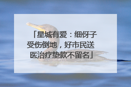 星城有爱：细伢子受伤倒地，好市民送医治疗垫款不留名