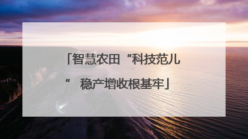 智慧农田“科技范儿” 稳产增收根基牢