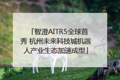智澄AITR5全球首秀 杭州未来科技城机器人产业生态加速成型