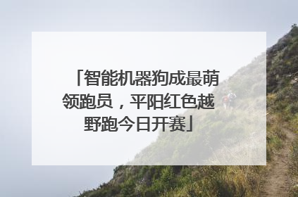 智能机器狗成最萌领跑员，平阳红色越野跑今日开赛