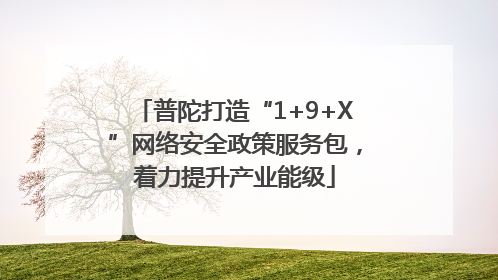普陀打造“1+9+X”网络安全政策服务包，着力提升产业能级