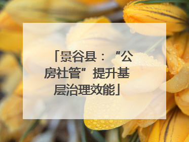 景谷县：“公房社管”提升基层治理效能
