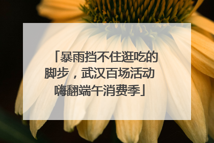 暴雨挡不住逛吃的脚步，武汉百场活动嗨翻端午消费季