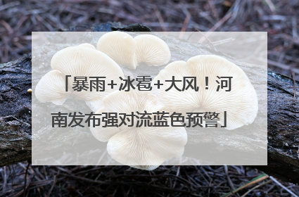 暴雨+冰雹+大风！河南发布强对流蓝色预警