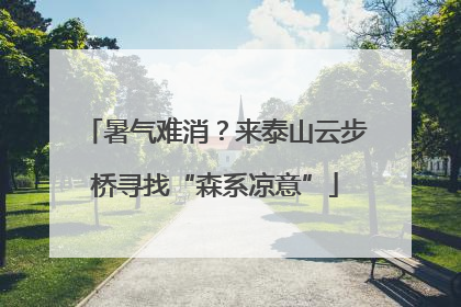 暑气难消？来泰山云步桥寻找“森系凉意”