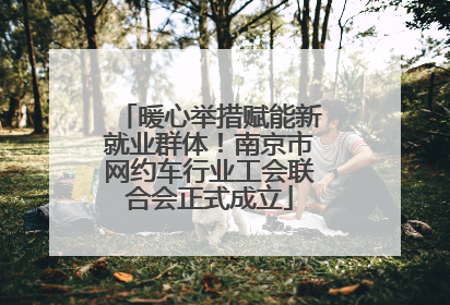 暖心举措赋能新就业群体！南京市网约车行业工会联合会正式成立