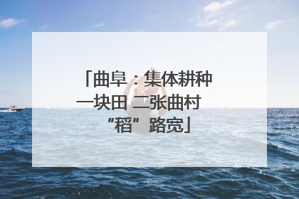 曲阜：集体耕种一块田 二张曲村“稻”路宽