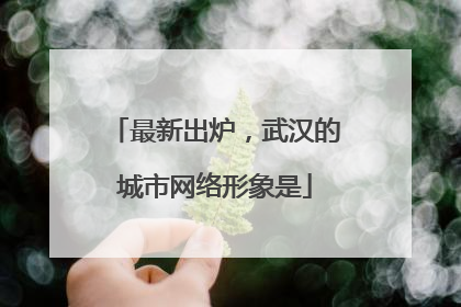 最新出炉，武汉的城市网络形象是