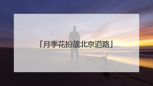 月季花扮靓北京道路