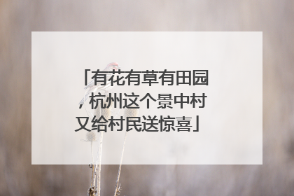有花有草有田园，杭州这个景中村又给村民送惊喜