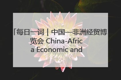 每日一词｜中国—非洲经贸博览会 China-Africa Economic and Trade Expo