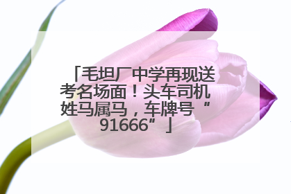 毛坦厂中学再现送考名场面！头车司机姓马属马，车牌号“91666”