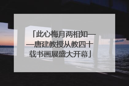 此心梅月两相知——唐建教授从教四十载书画展盛大开幕