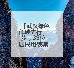 武汉绿色低碳先行一步，39位居民用碳减排量抵扣贷款利息