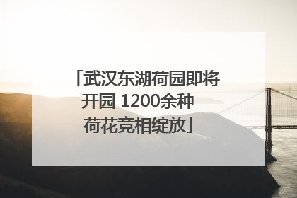 武汉东湖荷园即将开园 1200余种荷花竞相绽放