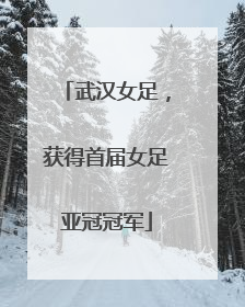 武汉女足，获得首届女足亚冠冠军