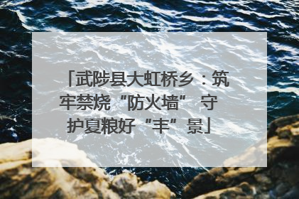 武陟县大虹桥乡：筑牢禁烧“防火墙” 守护夏粮好“丰”景