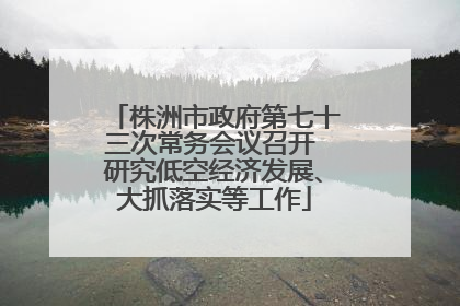 株洲市政府第七十三次常务会议召开 研究低空经济发展、大抓落实等工作