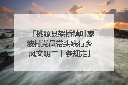 桃源县架桥镇叶家坡村党员带头践行乡风文明二十条规定