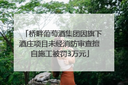 桥畔葡萄酒集团因旗下酒庄项目未经消防审查擅自施工被罚3万元