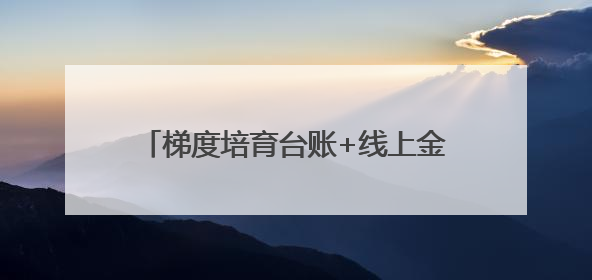 梯度培育台账+线上金融培训：揭秘新泰绿色制造的精准滴灌模式
