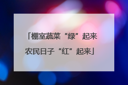 棚室蔬菜“绿”起来 农民日子“红”起来