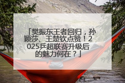 樊振东王者回归，孙颖莎、王楚钦点赞！2025乒超联赛升级后的魅力何在？