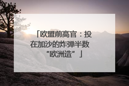 欧盟前高官：投在加沙的炸弹半数“欧洲造”