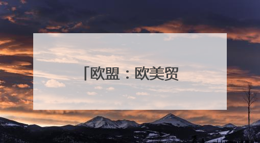 欧盟：欧美贸易谈判前景面临不确定性