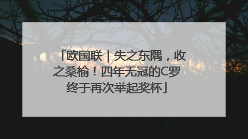 欧国联｜失之东隅，收之桑榆！四年无冠的C罗终于再次举起奖杯