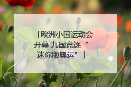 欧洲小国运动会开幕 九国竞逐“迷你版奥运”