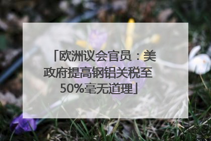 欧洲议会官员：美政府提高钢铝关税至50%毫无道理