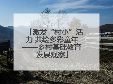 激发“村小”活力 共绘多彩童年——乡村基础教育发展观察