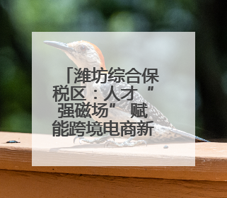 潍坊综合保税区：人才“强磁场” 赋能跨境电商新活力