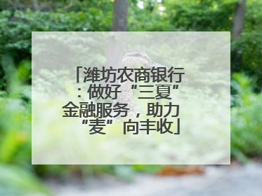 潍坊农商银行：做好“三夏”金融服务，助力“麦”向丰收