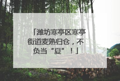 潍坊寒亭区寒亭街道麦熟归仓，不负当“夏”！
