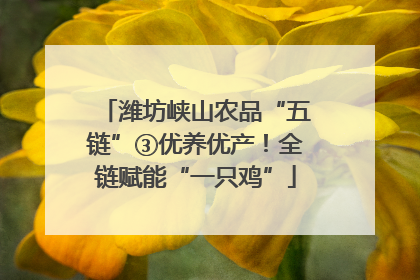 潍坊峡山农品“五链”③优养优产！全链赋能“一只鸡”