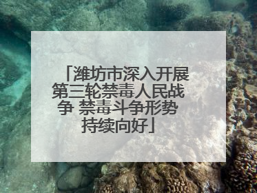 潍坊市深入开展第三轮禁毒人民战争 禁毒斗争形势持续向好