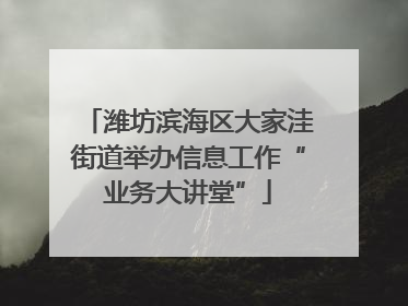 潍坊滨海区大家洼街道举办信息工作“业务大讲堂”