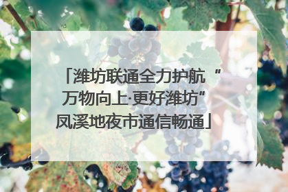 潍坊联通全力护航“万物向上·更好潍坊”凤溪地夜市通信畅通