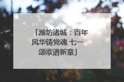 潍坊诸城：百年风华铸党魂 七一颂歌谱新章